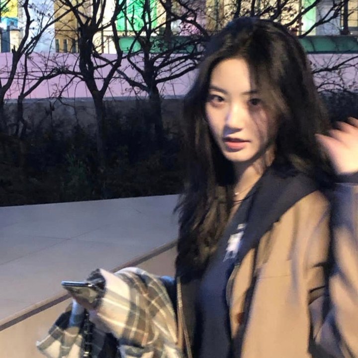 少林与咏春粤语