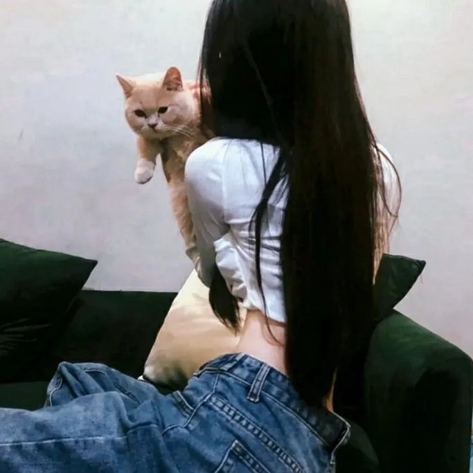 红场飞龙